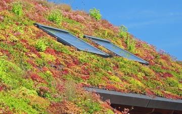 Stanton By Dale living roof systems